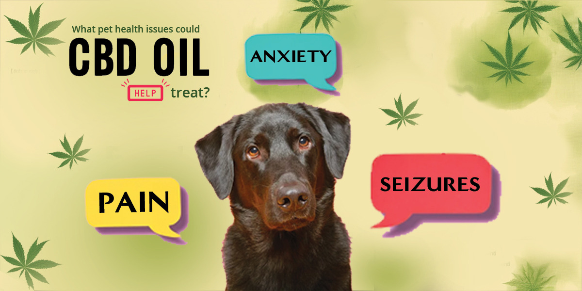 cbd oil for dogs India